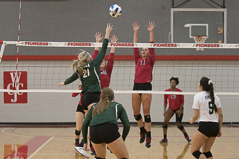 Wharton County Junior College outside hitter Sabrina Show (No. 11) of East Bernard leaps high to block a shot during one of the Pioneers' final games of the 2017 season. Assisting with the block is Avery Schroeder (No. 16) of Brenham and pictured in the background is Arianna McCarver (No. 13) of Austin.